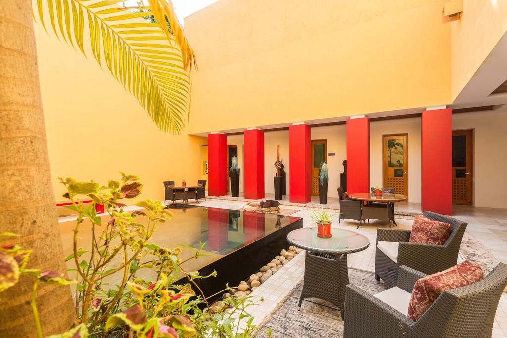 JALISCO Villa Azalea Inn & Organic Farm מראה חיצוני תמונה