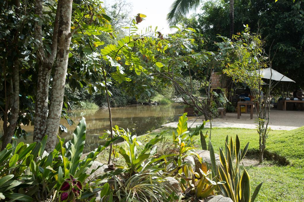 JALISCO Villa Azalea Inn & Organic Farm מראה חיצוני תמונה