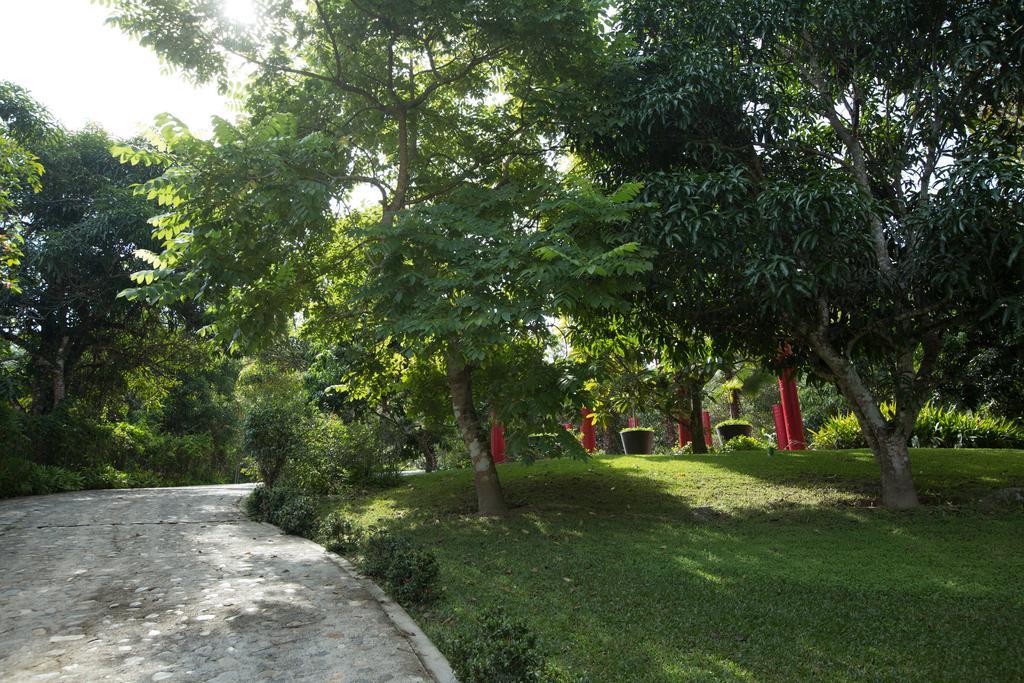 JALISCO Villa Azalea Inn & Organic Farm מראה חיצוני תמונה